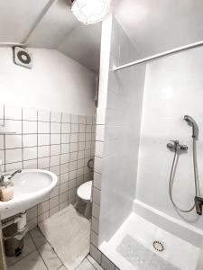 利托梅日采Vinárna Vikárka的带淋浴、盥洗盆和卫生间的浴室