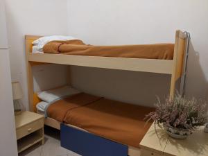 奥尔贝泰洛Il Nido - Casa Vacanze & Galleria d'Arte的一间卧室配有两张双层床。