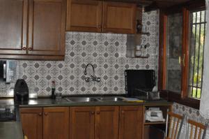 拉斯卡弗里亚Casa Etna的一个带木制橱柜和水槽的厨房