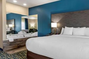 Pauls ValleyComfort Inn & Suites Pauls Valley - City Lake的酒店客房设有一张大床和浴缸。