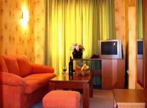 德里亚诺沃德里亚诺沃帕克酒店的带沙发和电视的客厅