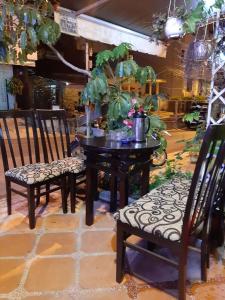 大叻Hostel Khanh Hương 2的桌子和两把椅子上种着植物