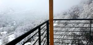圣何塞德迈波Cordillera Flora endógena Bosque Esclerófilo的客房享有雪覆盖的山脉美景。