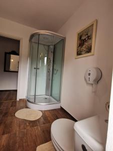 波卢巴库苏斯Vila Eivissa的浴室设有玻璃淋浴间和卫生间