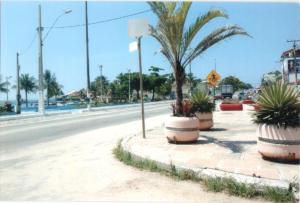 大伊瓜巴Apartamento Iguaba Grande, bairro Canellas City , em frente ao trailer do popeye的一条在路边种有棕榈树的街道