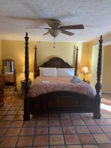 棕榈泉La Maison Hotel - Adults Only的一间卧室配有一张带吊扇的床