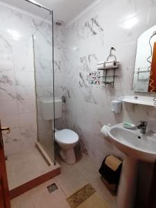 布什泰尼Casa Magica Busteni的带淋浴、卫生间和盥洗盆的浴室