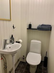 马隆Villa Bergli的浴室配有白色卫生间和盥洗盆。