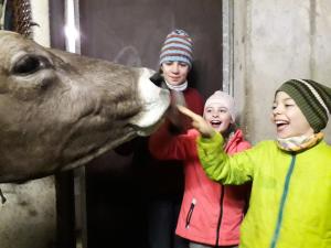 希蒂绍哈格斯皮尔旅馆的两个孩子在动物园喂长颈鹿