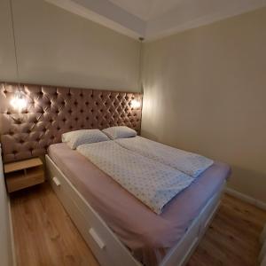 凯奇凯梅特Ancsi Apartmant Kecskemét的一间卧室配有一张大床和软垫床头板