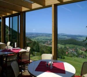 瓦尔特尔斯多夫Hubertusbaude的用餐室配有桌椅和大窗户