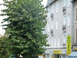 罗德兹Hôtel Concorde - Rodez Centre Ville的大楼前的一大棵绿色树