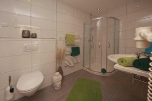 索尔登阿帕德珠峰酒店的浴室配有卫生间、淋浴和盥洗盆。