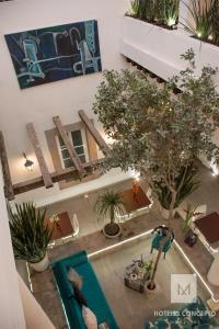 莫雷利亚M Hoteles Concepto的享有一座带游泳池和植物的建筑的顶部景色