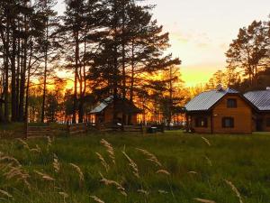 LiepeneVējciems的一座位于田野的木屋,享有日落美景