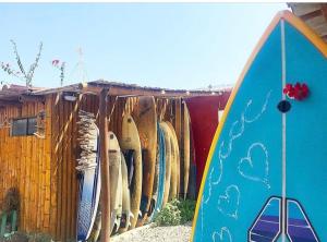 奇卡马港Surf House Chicama的一组冲浪板被排在架子上
