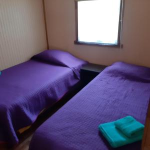 PitrufquénCabaña centro Pitrufquen的配有紫色床单的小客房内的两张床