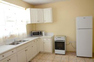 金斯敦Bascombe Apartments的厨房配有白色冰箱和水槽