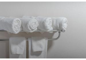 加特林堡Bear Creek Inn Gatlinburg, TN的浴室毛巾架上的一束毛巾