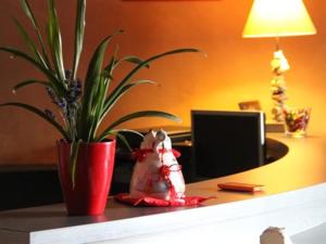 Grandvilliers莱托伊勒酒店的坐在桌子上,种植植物的盆栽植物