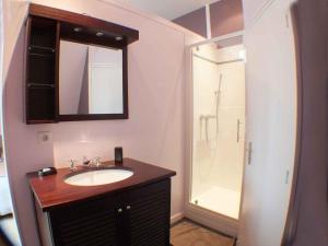沙特尔马诺伊城市休闲酒店的一间带水槽和淋浴的浴室