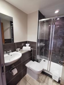 布莱顿霍夫不列颠思达戴酒店的浴室配有卫生间、淋浴和盥洗盆。