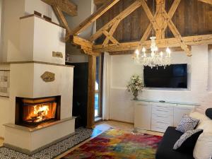 希格斯多夫Private Luxury Chalet的客厅设有壁炉和电视。