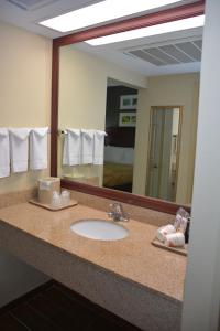 都柏林都柏林品质套房酒店的浴室的柜台设有水槽和镜子