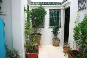突尼斯2 bedrooms apartement with city view furnished terrace and wifi at Tunis 4 km away from the beach的白色墙壁上种有盆栽植物的庭院