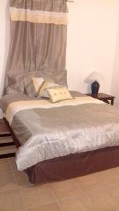 Happy BayOne bedroom appartement with furnished garden and wifi at La Savane 2 km away from the beach的相册照片