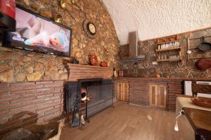 瓜迪克斯Cuevas Cortijo Gachas的客厅设有壁炉和平面电视。