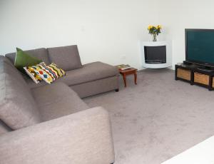 WaipapaGuinea's Rest的带沙发和电视的客厅