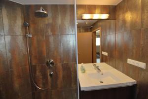 布达佩斯阿帕德桥公寓式酒店的一间带水槽和淋浴的浴室