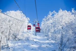吉林吉林北大湖假日酒店的雪中装有两辆红色汽车的滑雪缆车