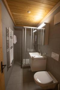 GsteigHotel Bären的浴室配有卫生间、盥洗盆和淋浴。