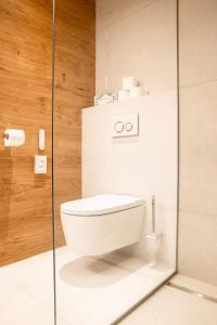 施图拜河谷新施蒂夫特Hotel & Appartements Alpenresidenz Viktoria的一间带卫生间和玻璃淋浴间的浴室