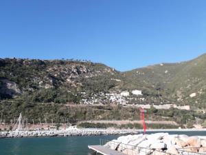 阿拉西奥B&B nido sul mare的水中有许多船的码头