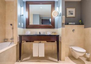 华沙华沙洲际酒店的一间带水槽、卫生间和镜子的浴室
