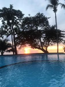 象岛库克斯酒店的一座种有树木的游泳池,其背景是日落