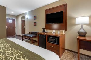 匹兹堡匹兹堡康福特茵套房酒店的配有一张床和一台平面电视的酒店客房
