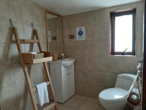科伊艾科Hotel Tehuelche Natura的一间带卫生间和水槽的浴室