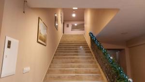 温科夫齐Hotel Admiral Vinkovci的一座拥有圣诞装饰的建筑的楼梯