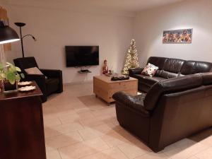 BanholtLodewijkhoeve的客厅配有真皮沙发和圣诞树