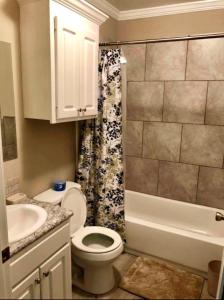 杰克逊Trinity One Apartments - Industrial Luxury的浴室配有卫生间、盥洗盆和淋浴。