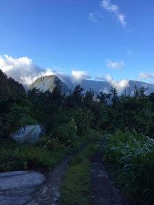 埃勒堡Bungalow d'une chambre avec jardin a Hell Bourg的山底土路