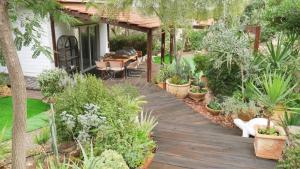 阿拉德Olives的花园设有种有植物的木甲板