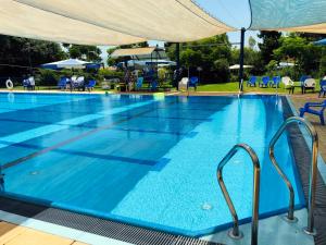 达夫纳Erettz Dafna Travel Hotel的一个带蓝色椅子和遮阳伞的大型游泳池