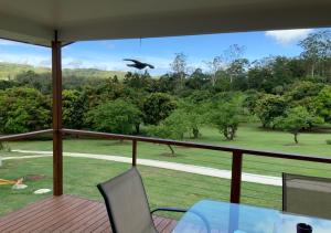 DiddillibahSunshine Coast retreat your own private golf course的鸟飞过门廊,享有庭院的景色