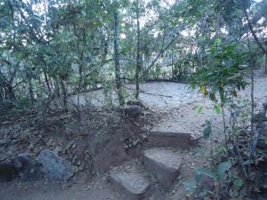 戈亚斯州上帕莱索Camping Terra do Nunca的林中树木的土路