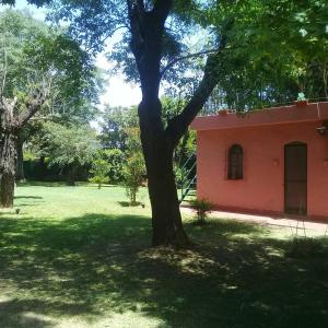 圣安东尼奥德阿雷科Posada Don Salvador的建筑物旁院子中的一棵树